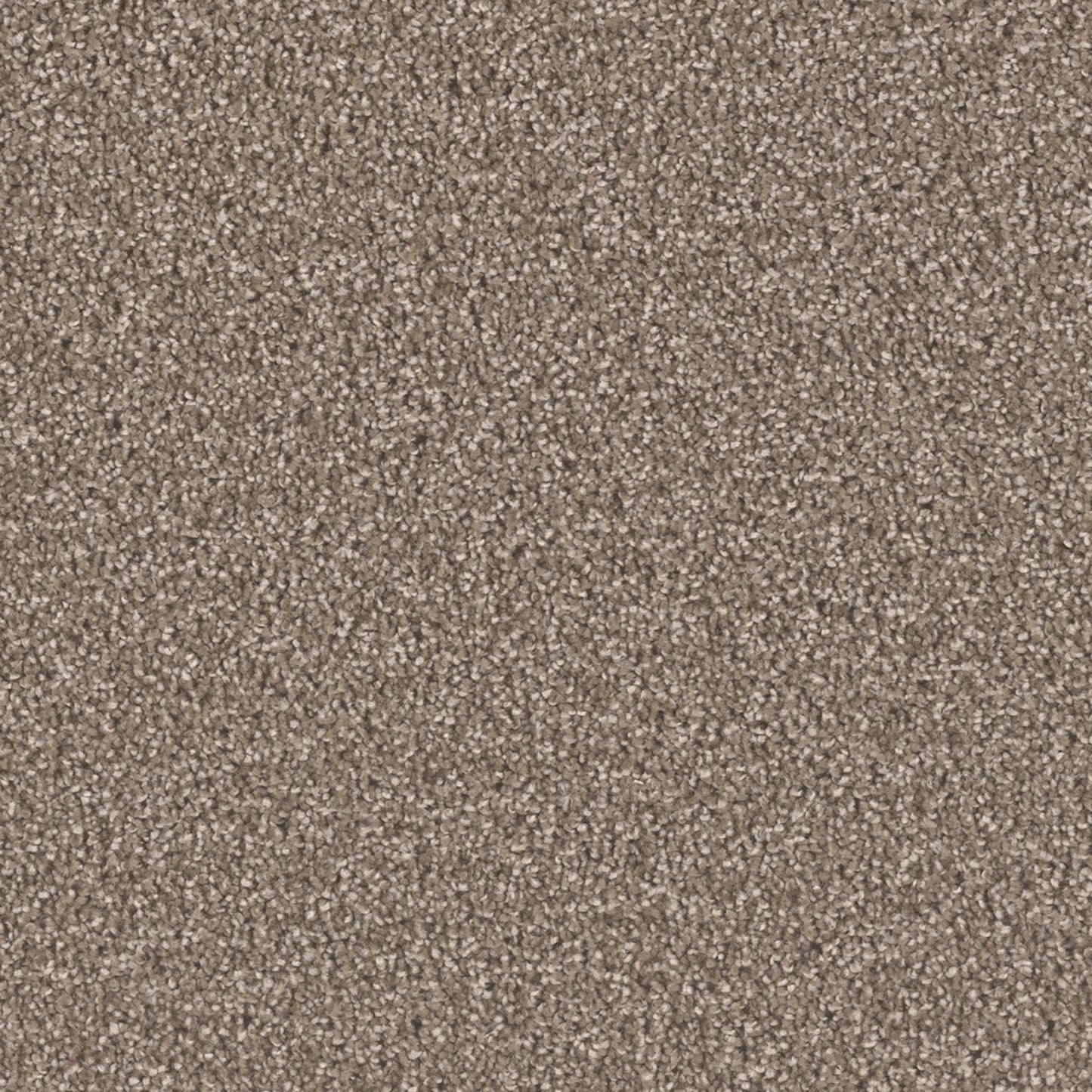 Opulent II in Tumbleweed Carpet