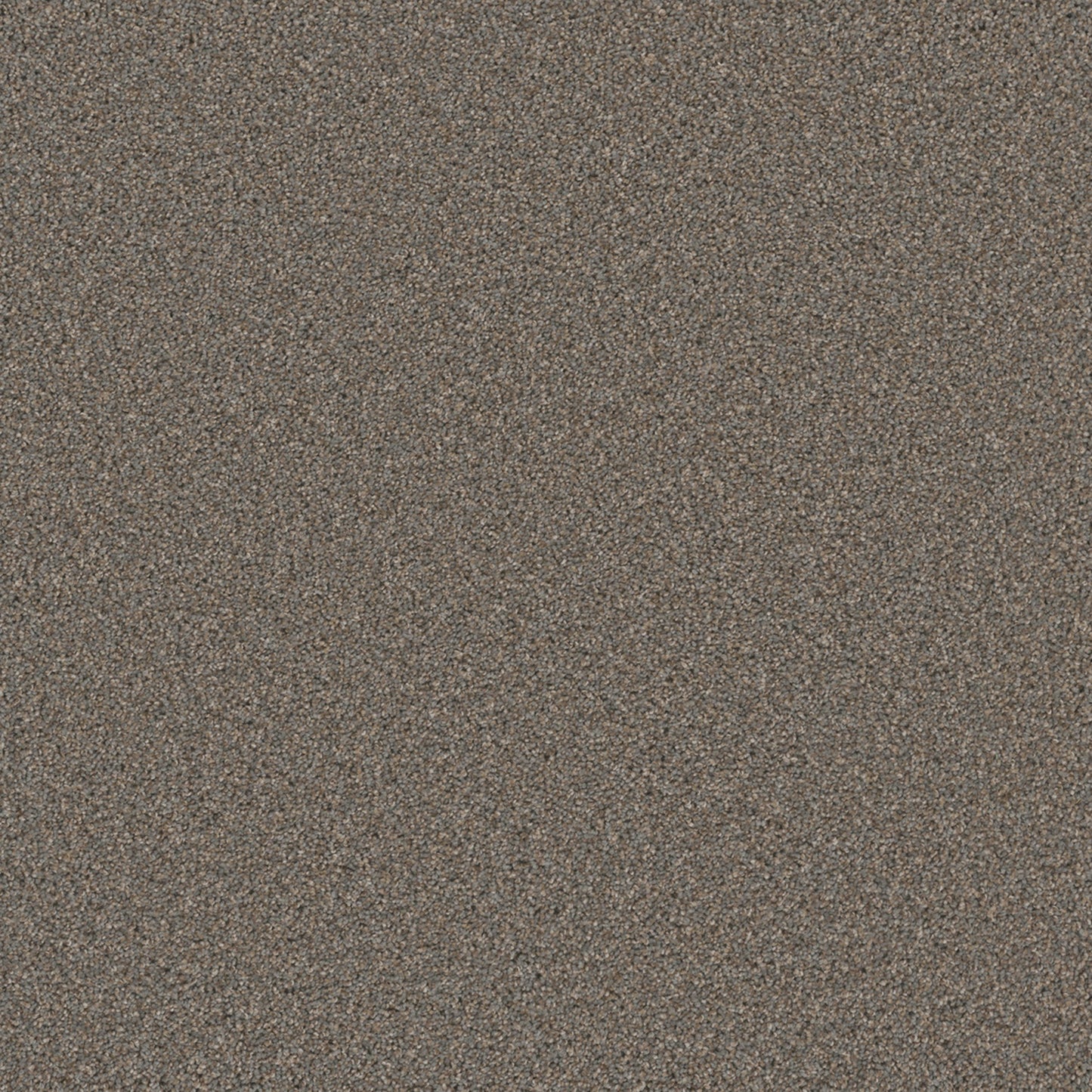 COSMOPOLITAN II