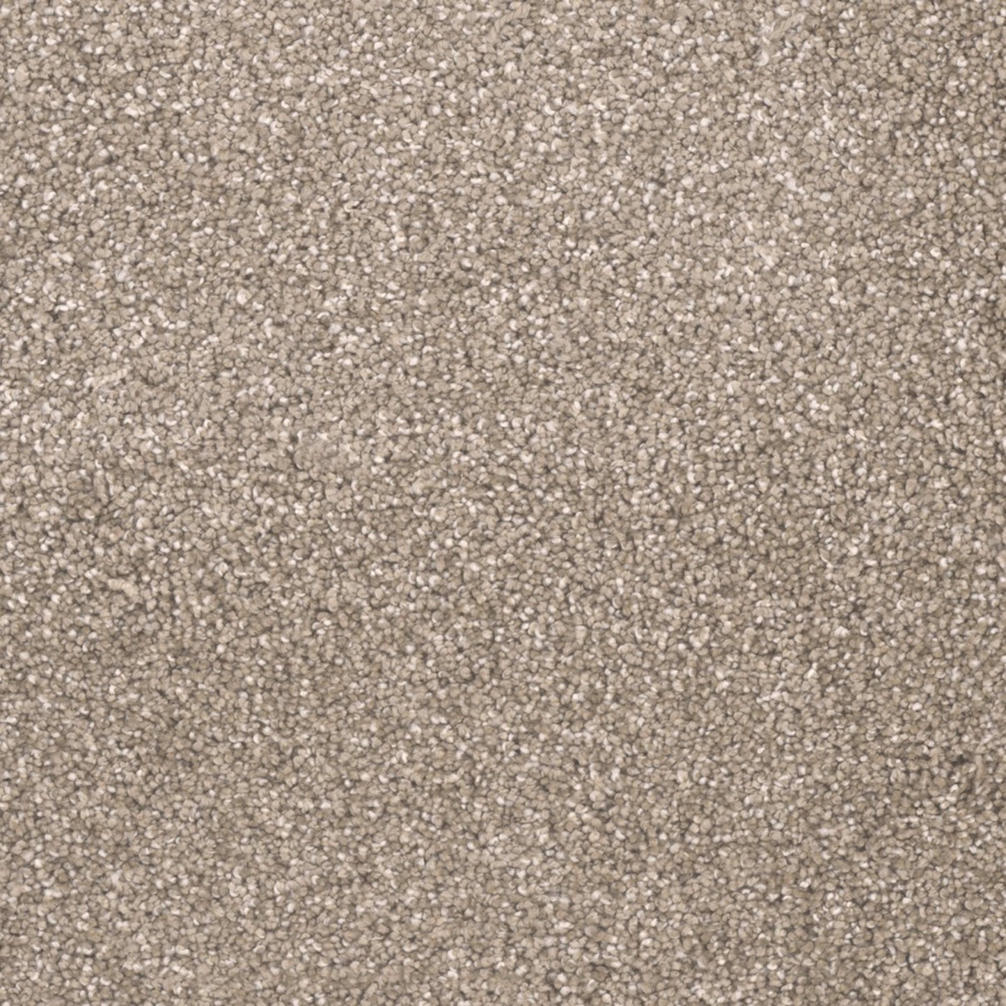 City Lights II in Acorn Carpet