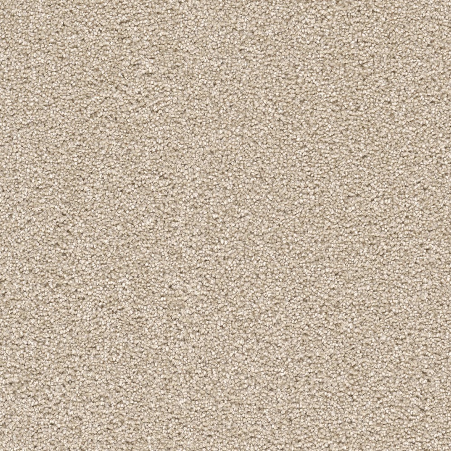 Knob Creek in Blush Carpet