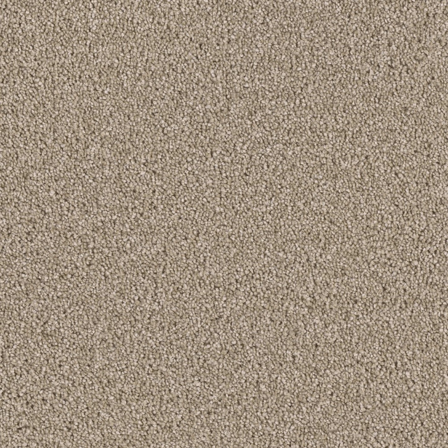 Colonial Plus in Buff Carpet