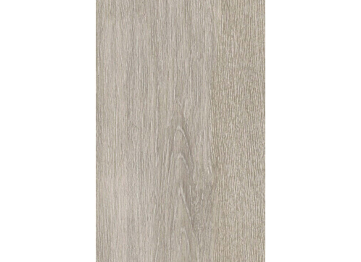 Canela in Natural - 10x40