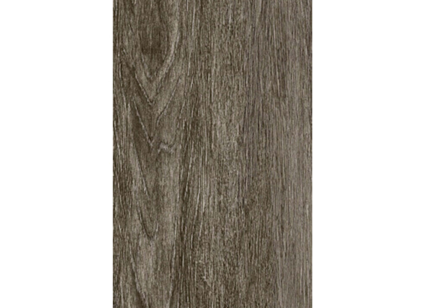 Canela in Brown - 10x40