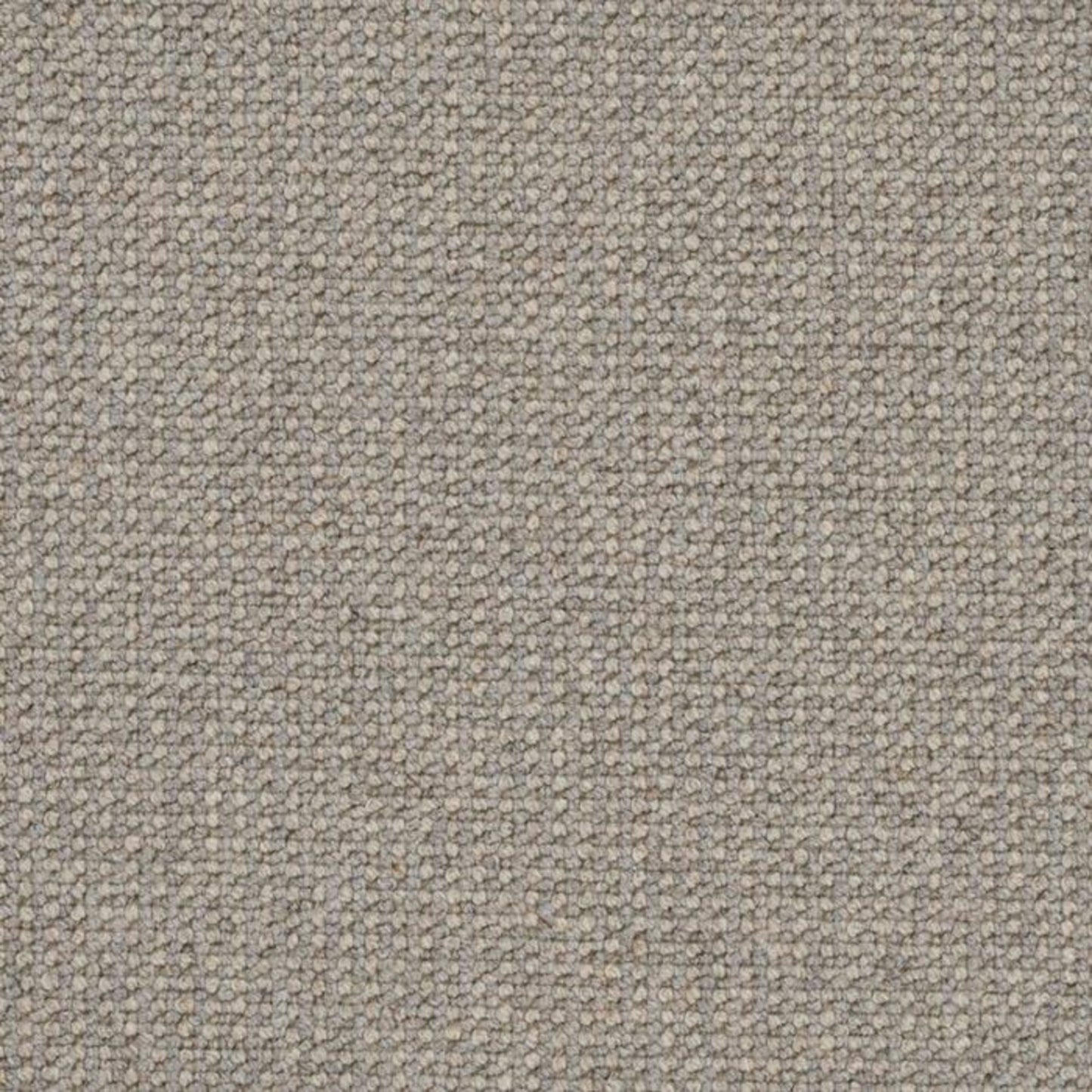 Perception in Fossil Carpet