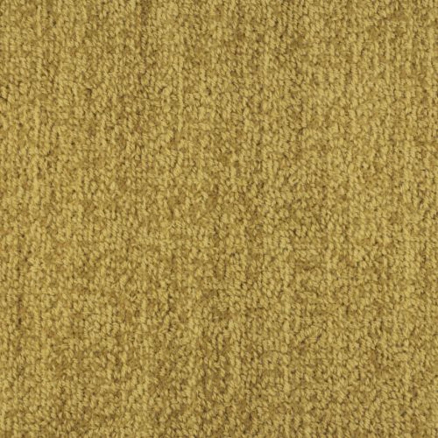 Bellini in Orino Carpet
