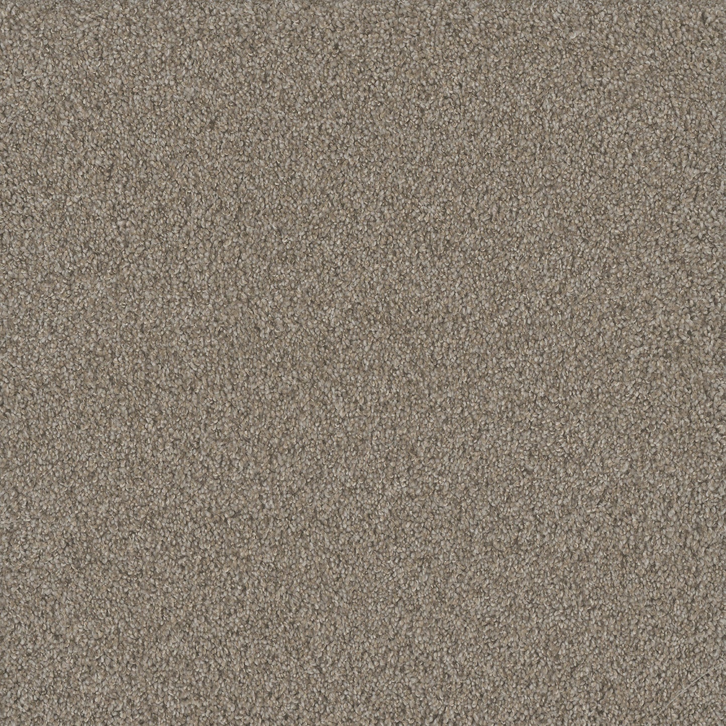 No Limits III in Ambiance Carpet