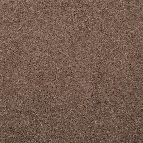 Indulgence in Chicago Taupe
