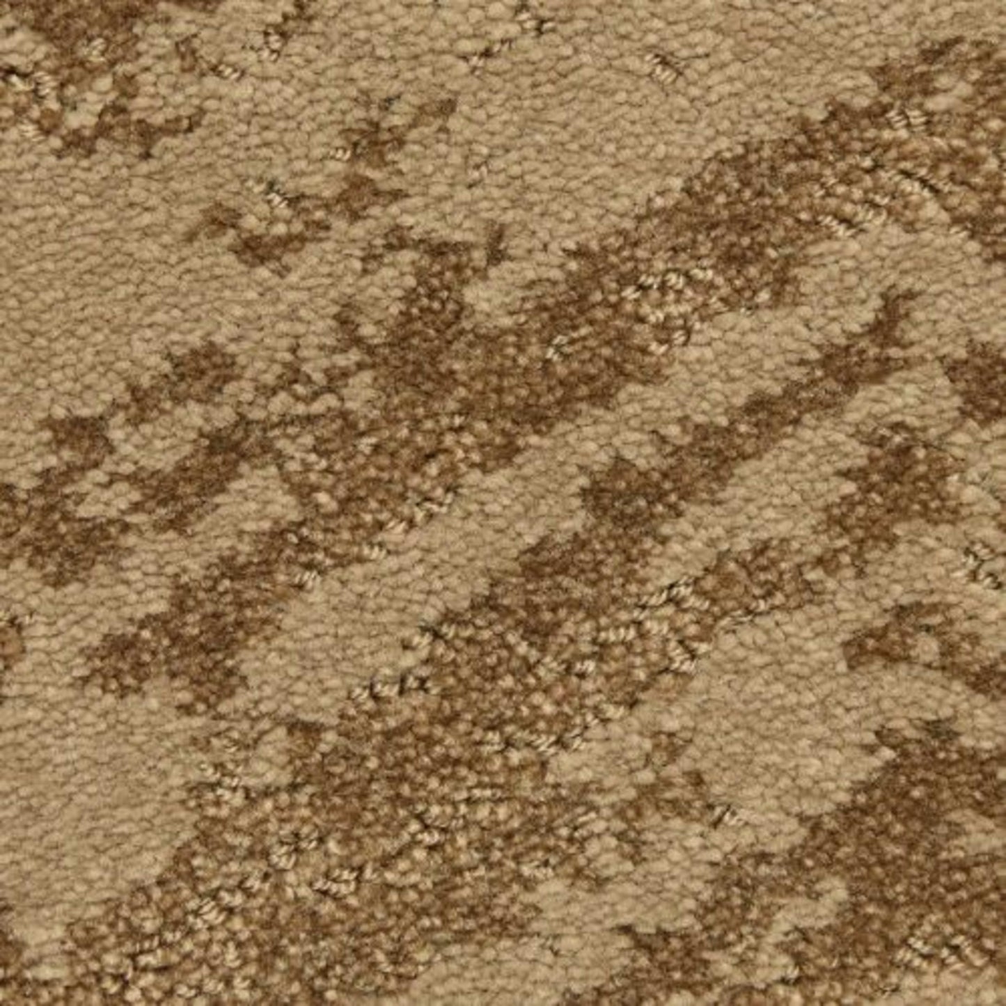 Cheval in Desert Carpet