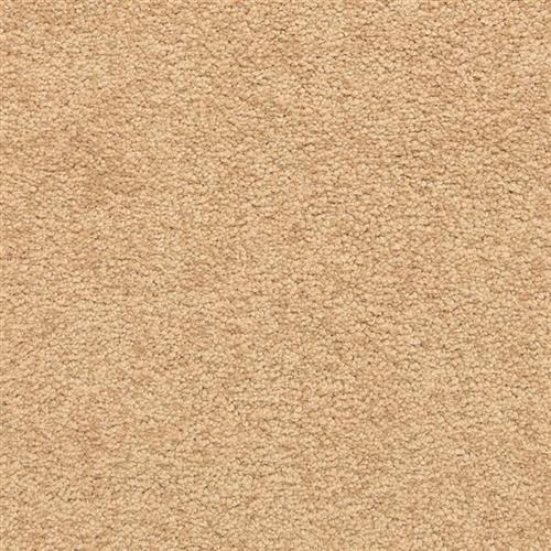 Knoxville in Bold Bronze