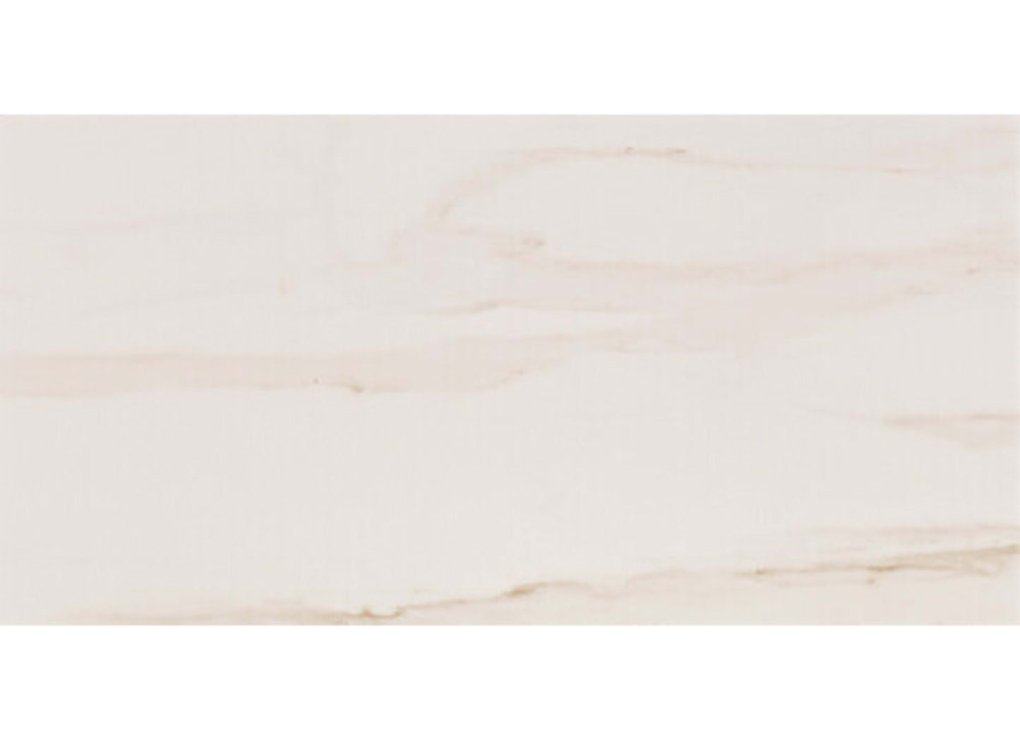 Charleston in White - 12x24