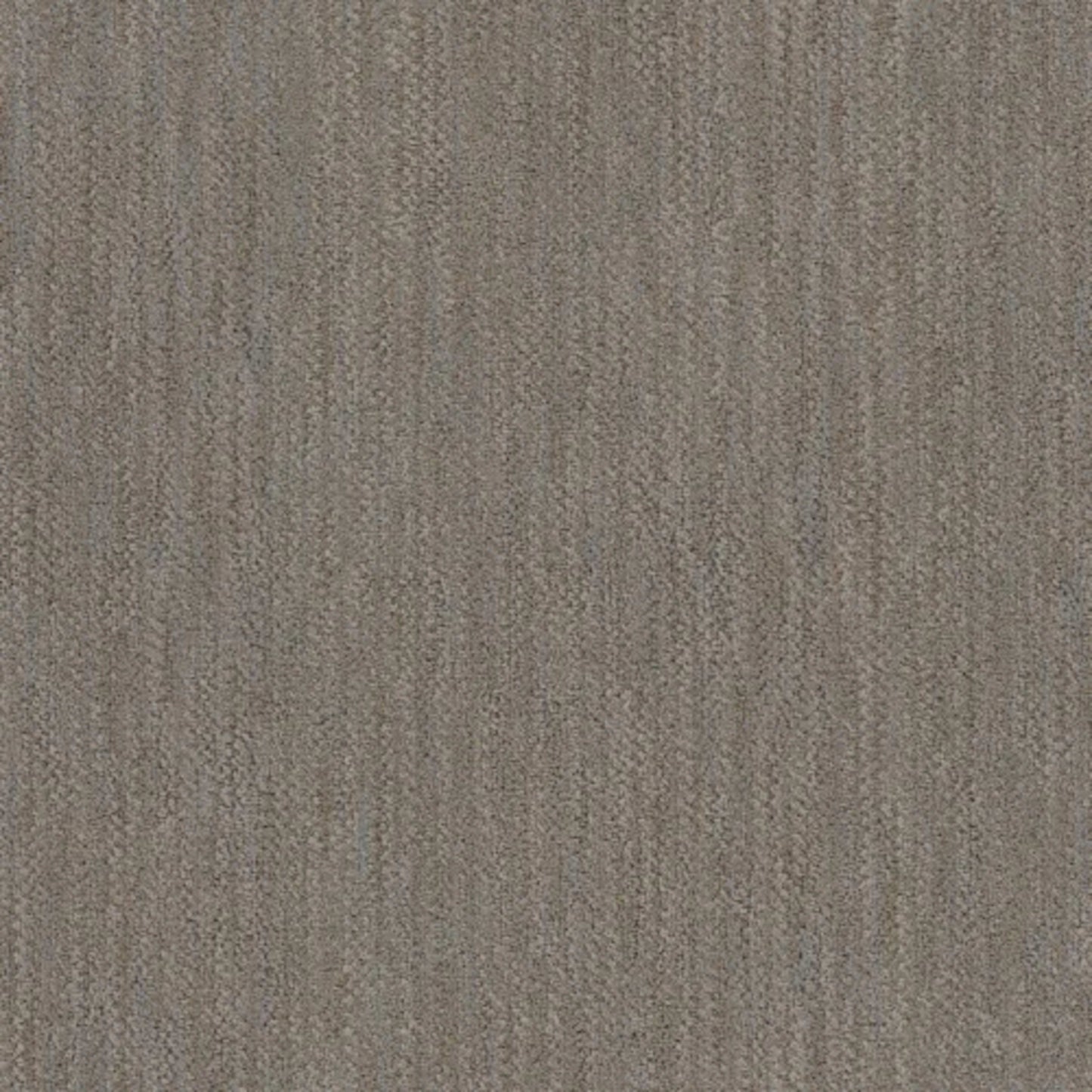 Desert in Tundra Carpet
