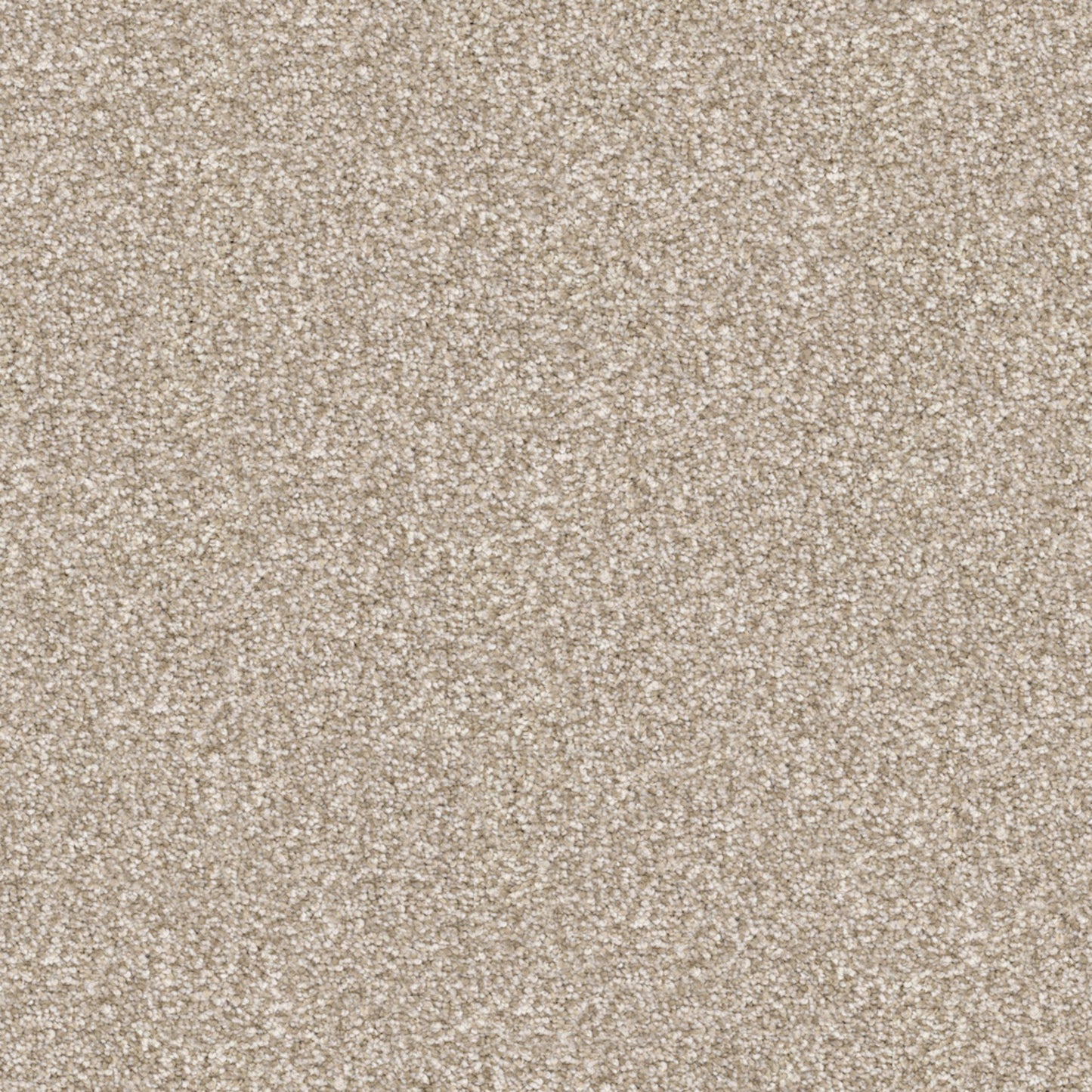 Tracker in Sandy Carpet