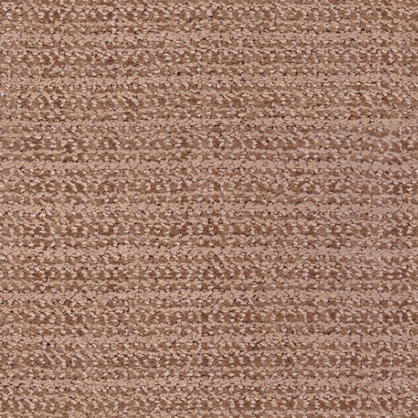 Beguiling in New Penny Carpet