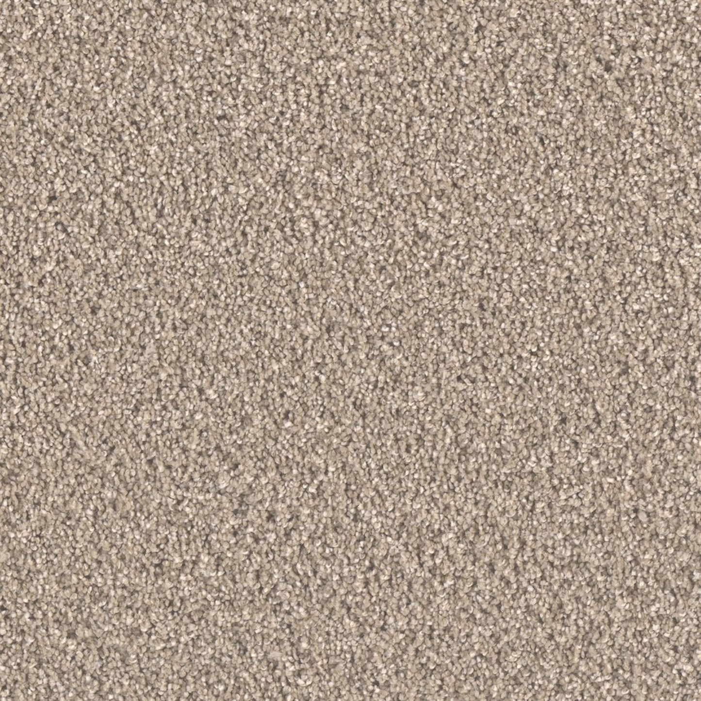 Brooklyn in Tumbleweed Carpet