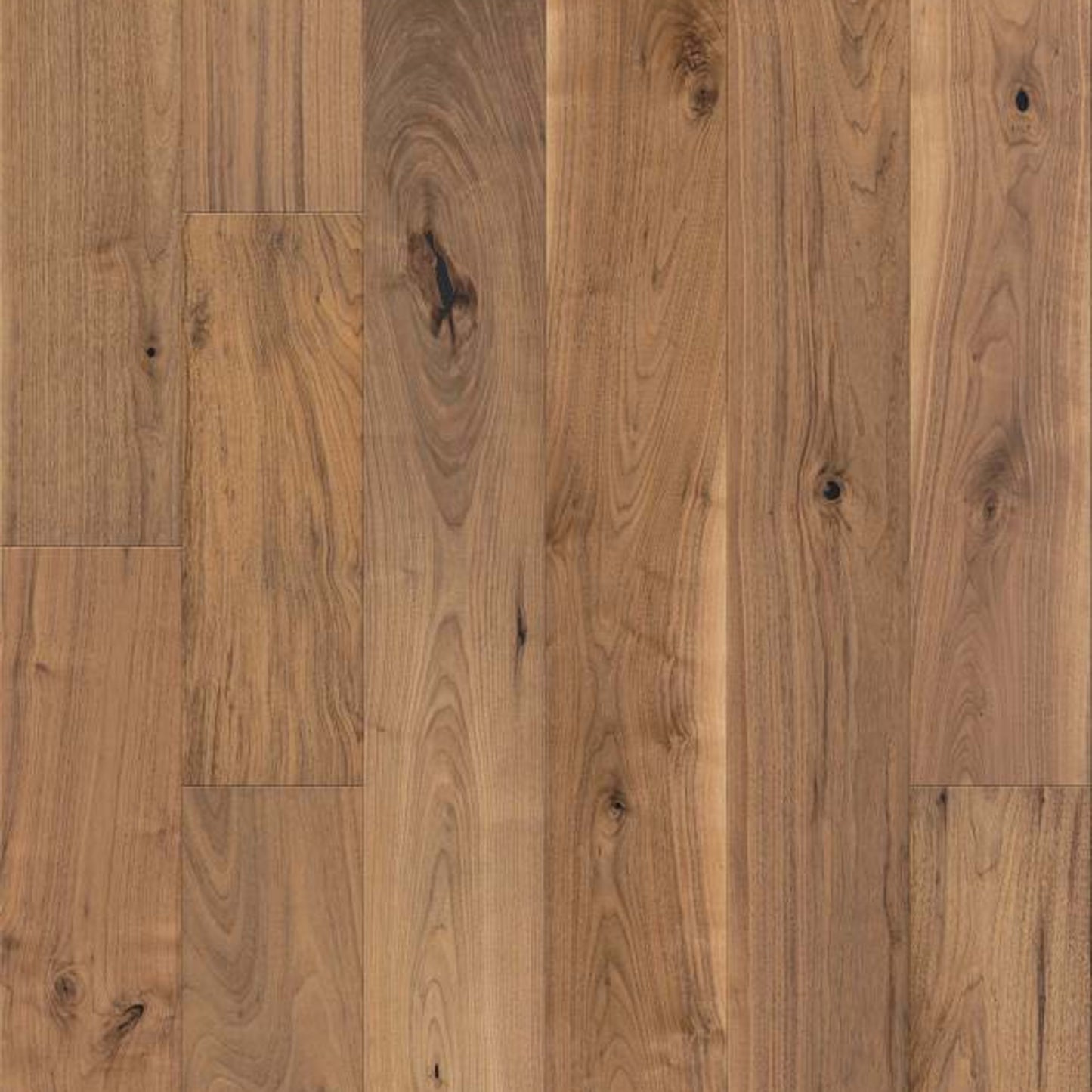 REVIVAL WALNUT in Sirocca Hardwood