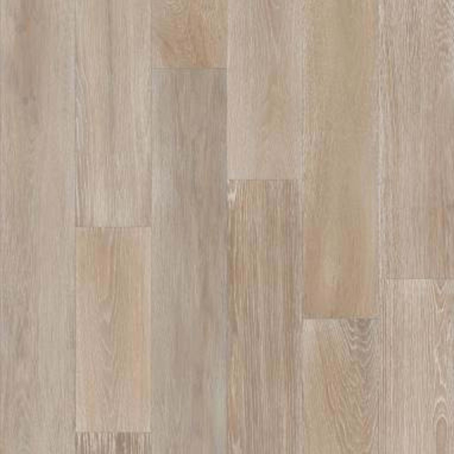 COAST TO COAST in Tidepool Hardwood