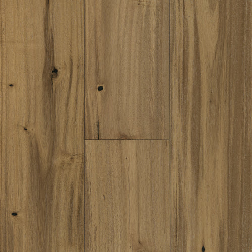 Abella Acacia in Lively