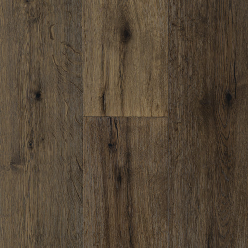 Adela Oak in Rich Request