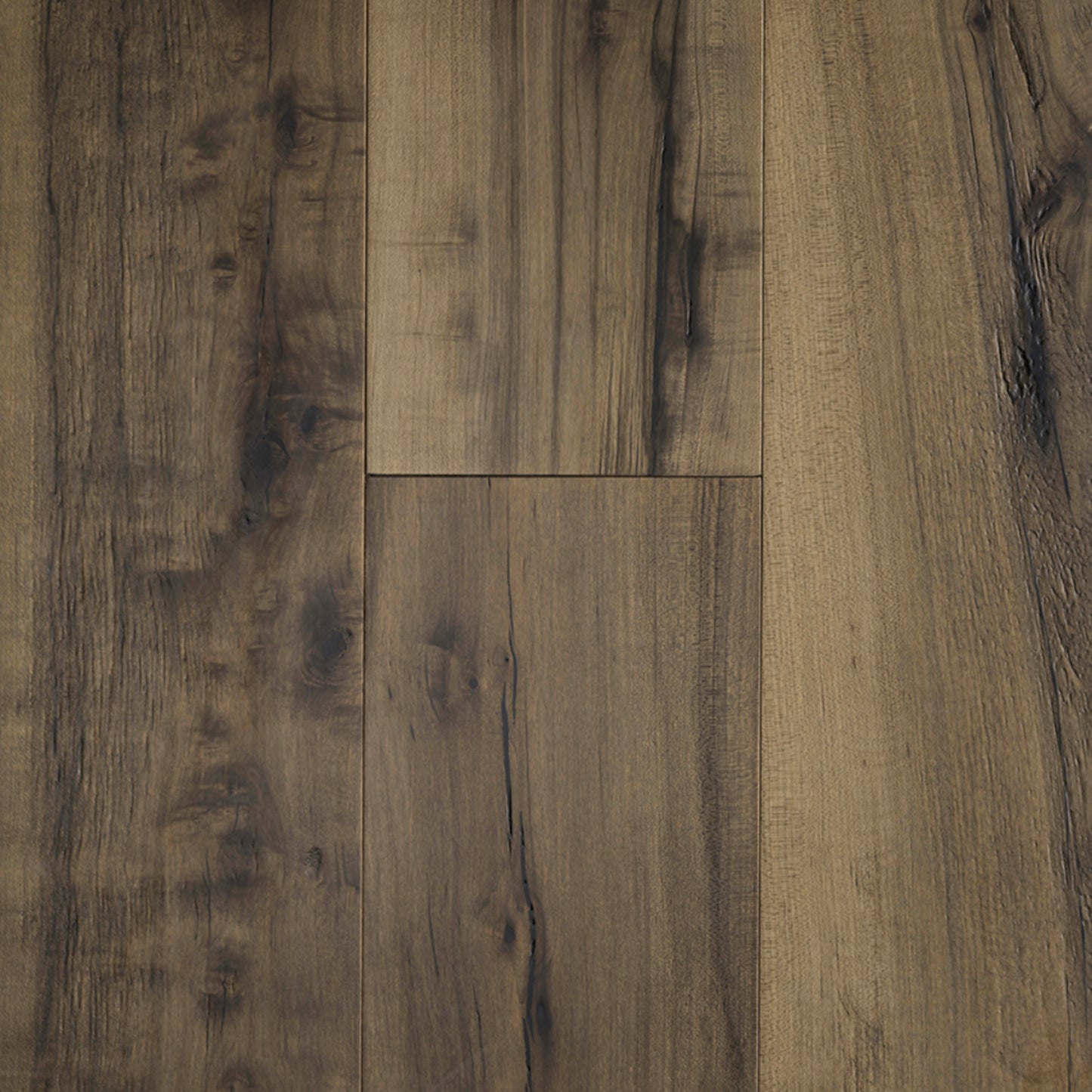 Allegra Maple in Clarity
