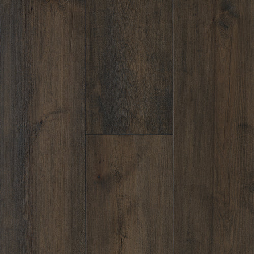 Allegra Maple in Refined