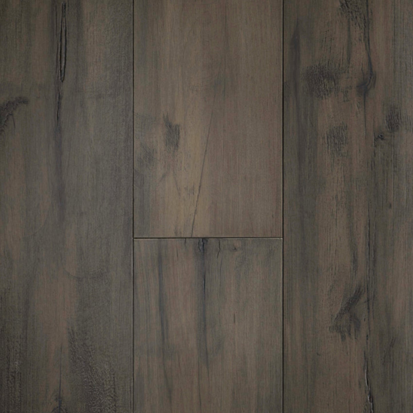 Allegra Maple in Richly Stated