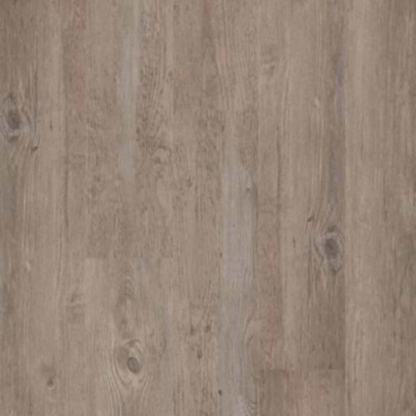 Master Scale in Sin Leche Luxury Vinyl
