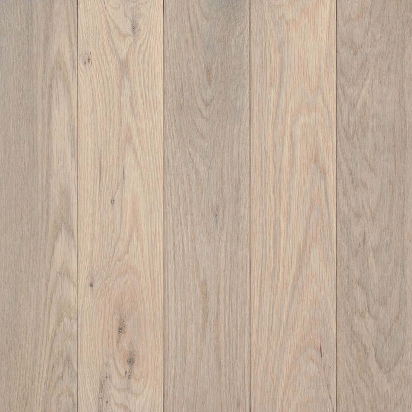 Prime Harvest White Oak Solid in Mystic Taupe 2.25" Hardwood