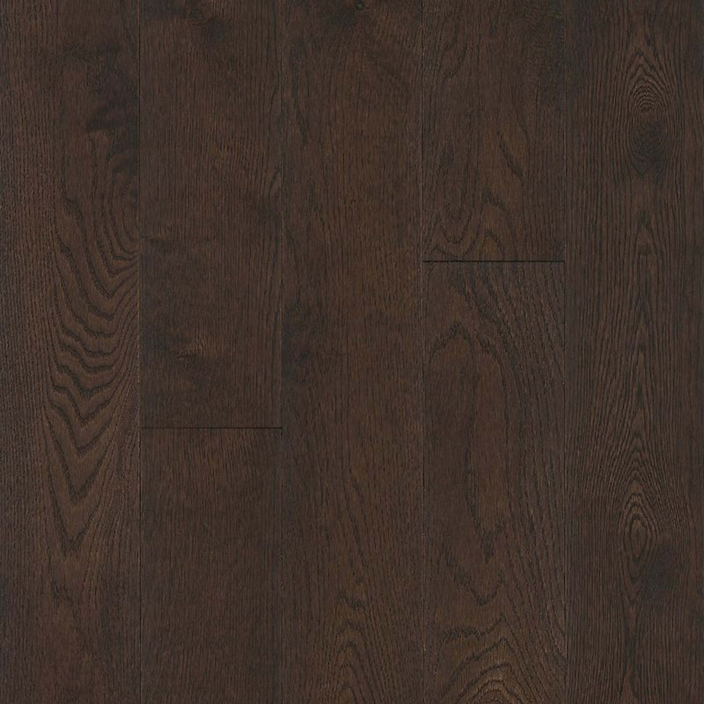 Prime Harvest White Oak Solid in Mocha 2.25" Hardwood