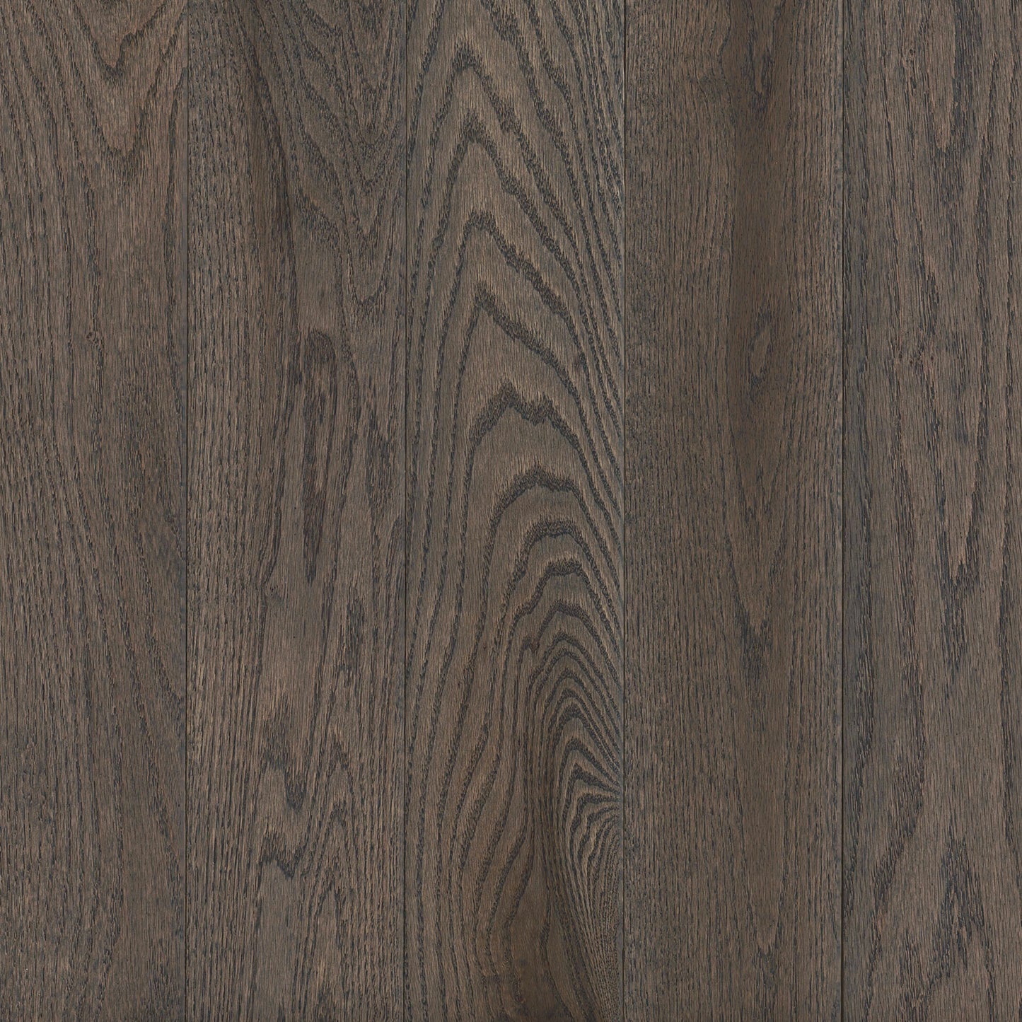 Prime Harvest Red Oak Solid in Oceanside Gray 3.25" - Low Gloss Hardwood