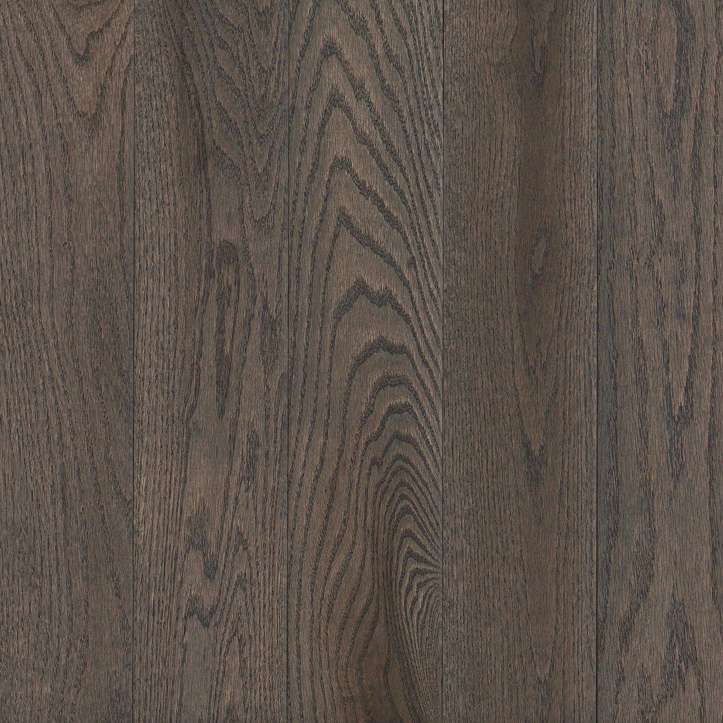 Prime Harvest Red Oak Solid in Oceanside Gray 5" - High Gloss Hardwood