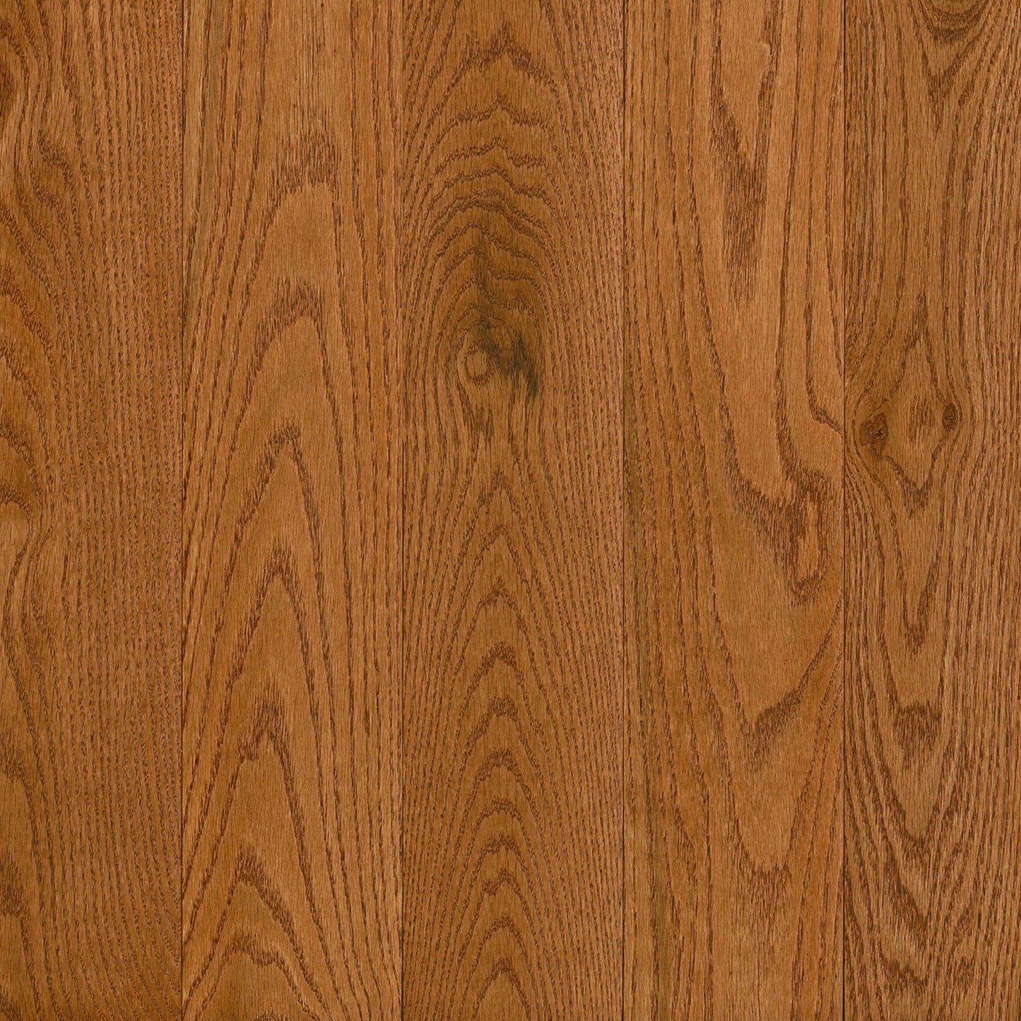 Prime Harvest Red Oak Solid in Gunstock 5" - Low Gloss Hardwood