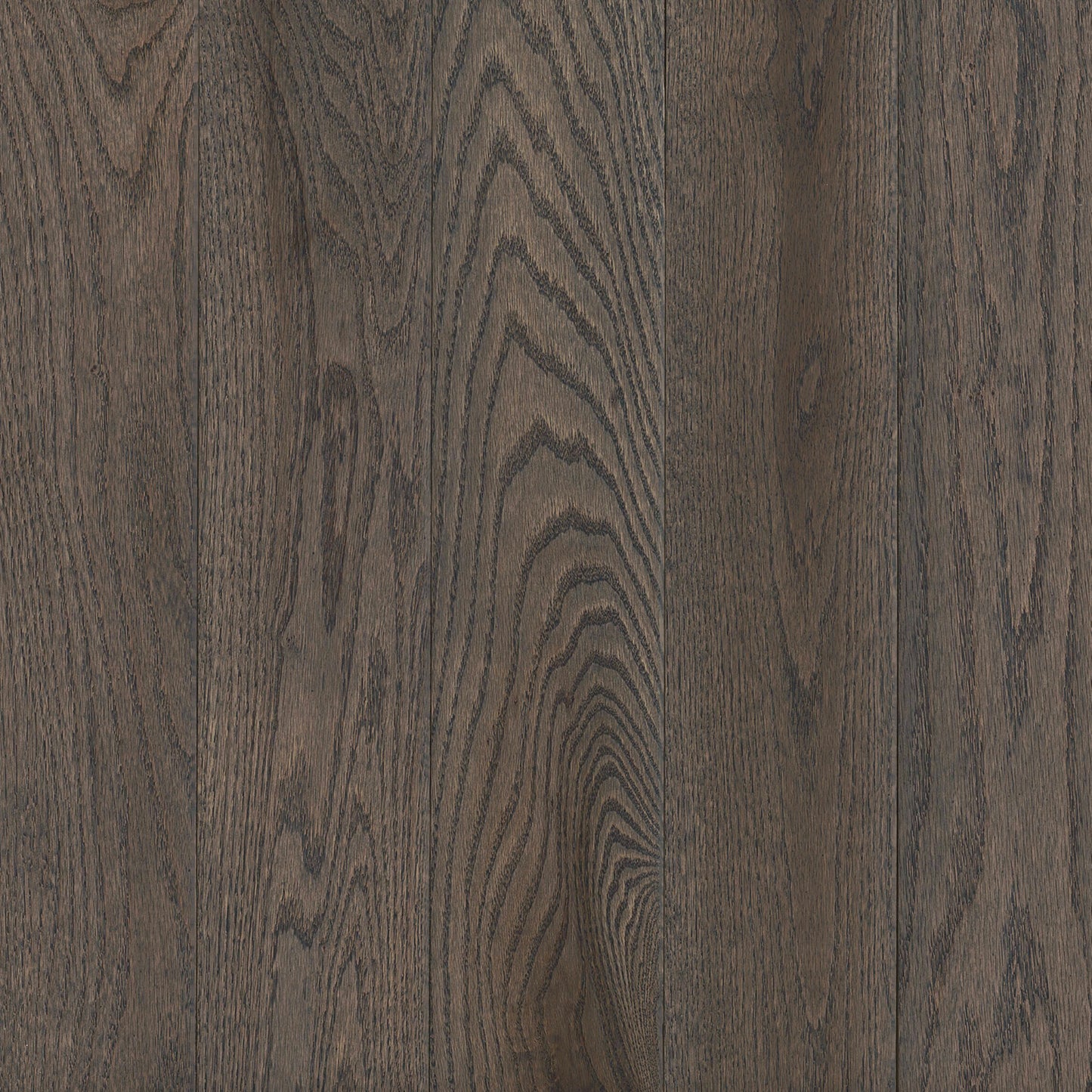 Prime Harvest Red Oak Solid in Oceanside Gray 5" - Low Gloss Hardwood