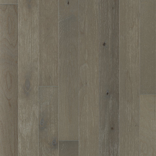 Ashling Betula in Dreamy