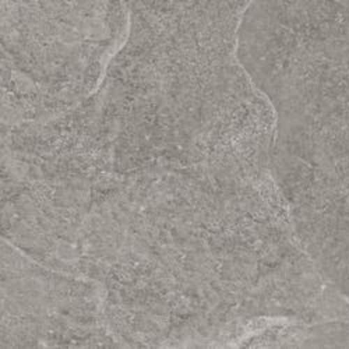 Absolute Slate in Gray
