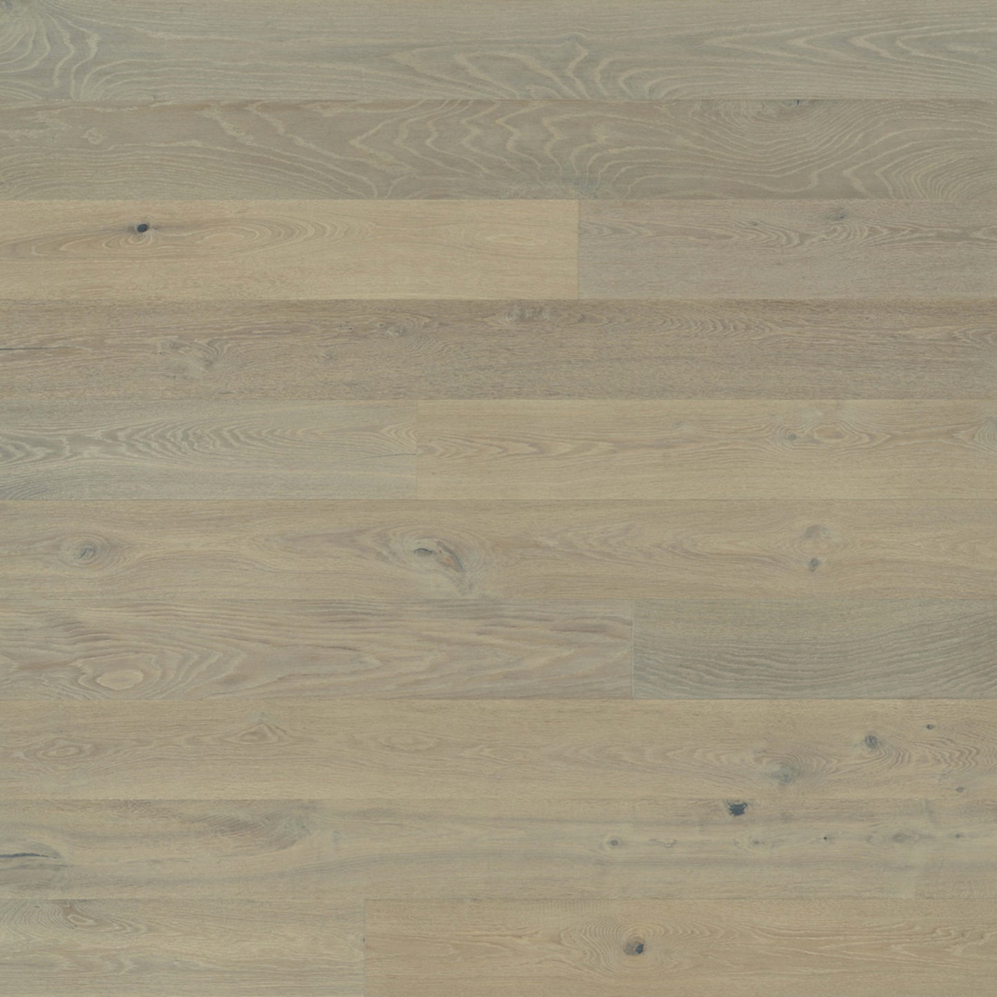Alta Vista Hardwood in Doheny Hardwood