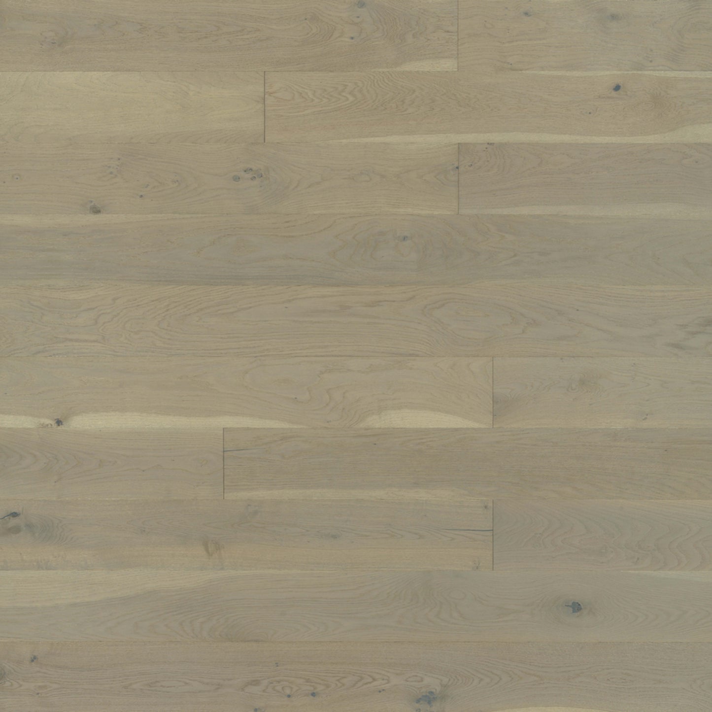 Alta Vista Hardwood in Santa Monica Hardwood