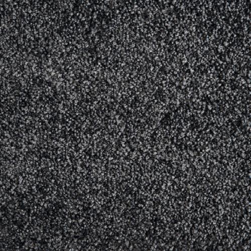 Avantgarde - Shaggy Grove