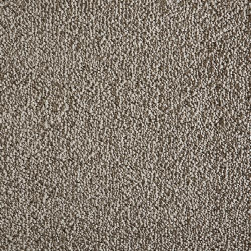Avantgarde - Shaggy Grove
