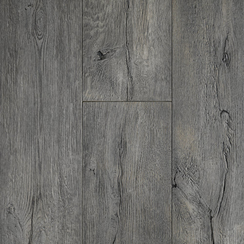Anew Oak in Discerning