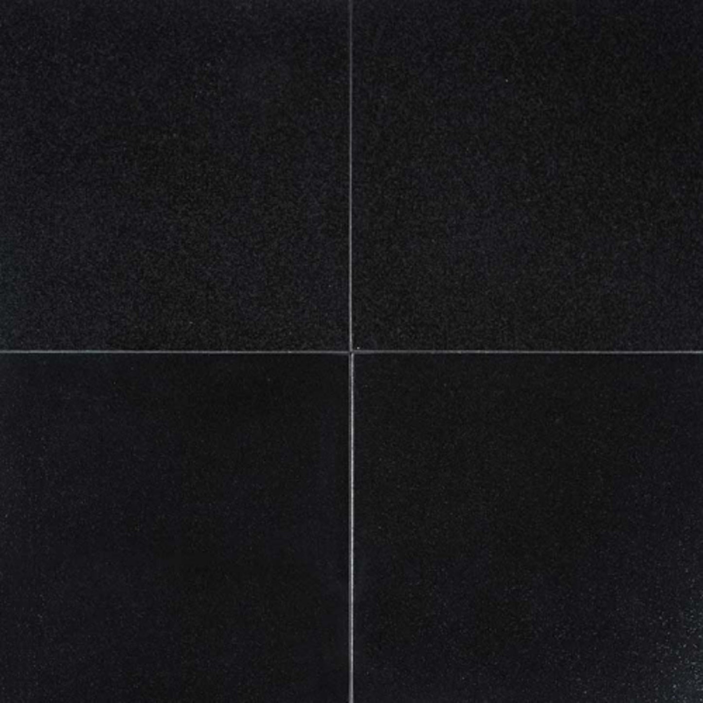 Absolute Black in Absolute Black - 12x12 Natural Stone