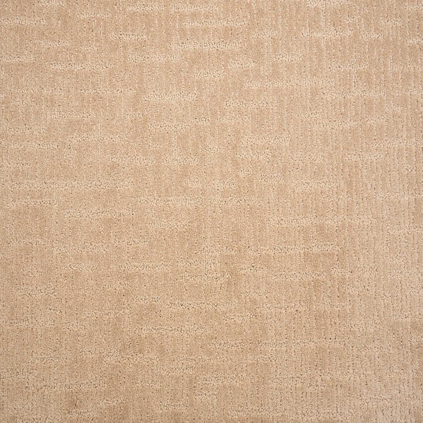 Alistair in Almond Carpet