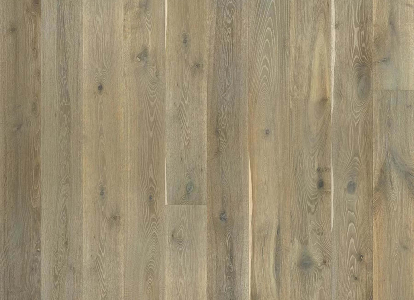 Alta Vista Hardwood in Cambria Oak