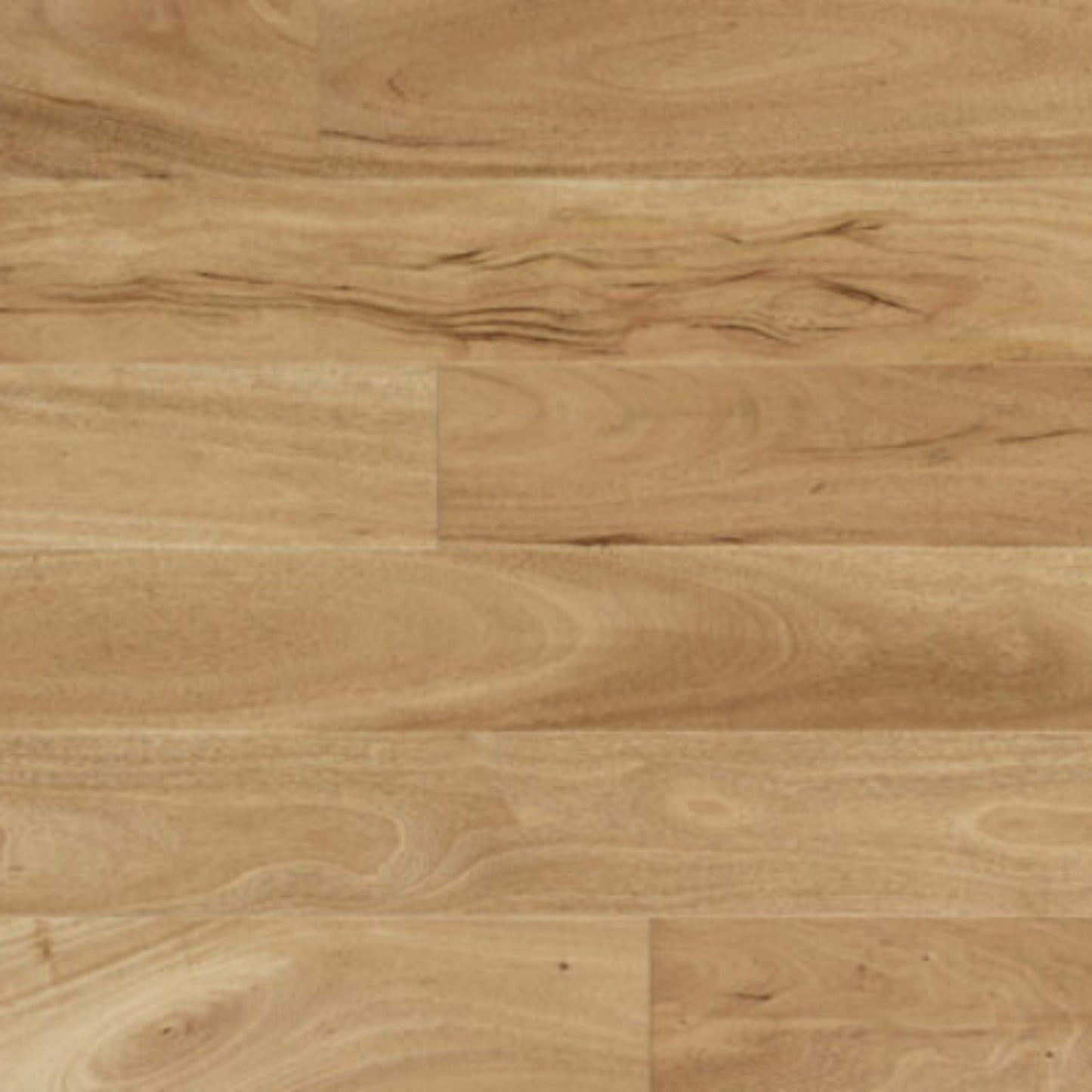 Classics in Amendoim 3.25" Hardwood