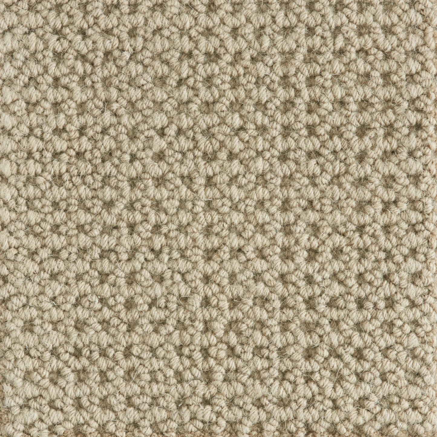 Ankara in Putty Carpet