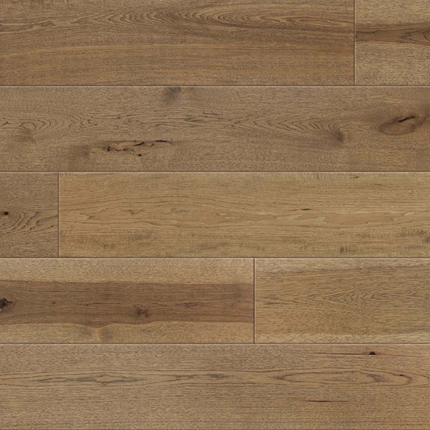 Olympus in Apollo Hardwood