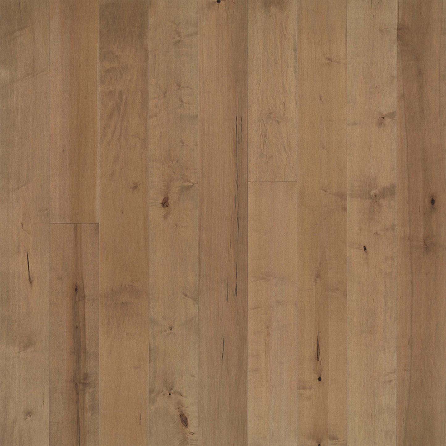 Avenue Collection in Pennsylvania Maple Hardwood