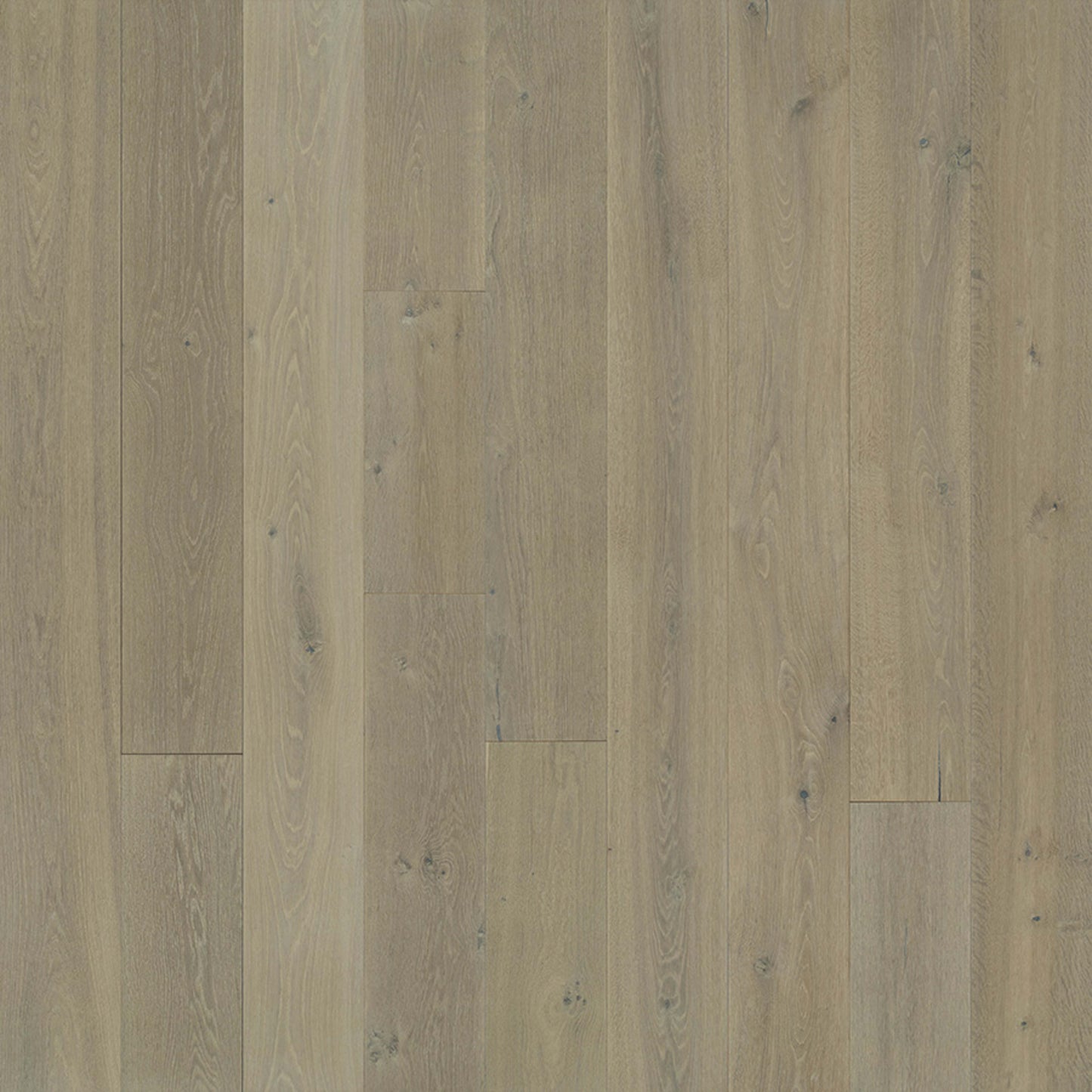 Avenue Collection in Sunset Oak Hardwood