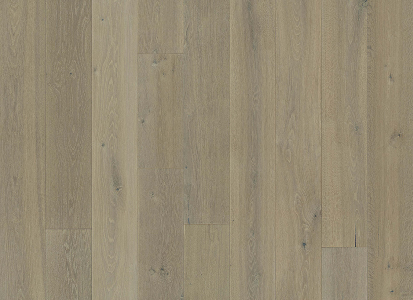 Avenue Collection in Sunset Oak