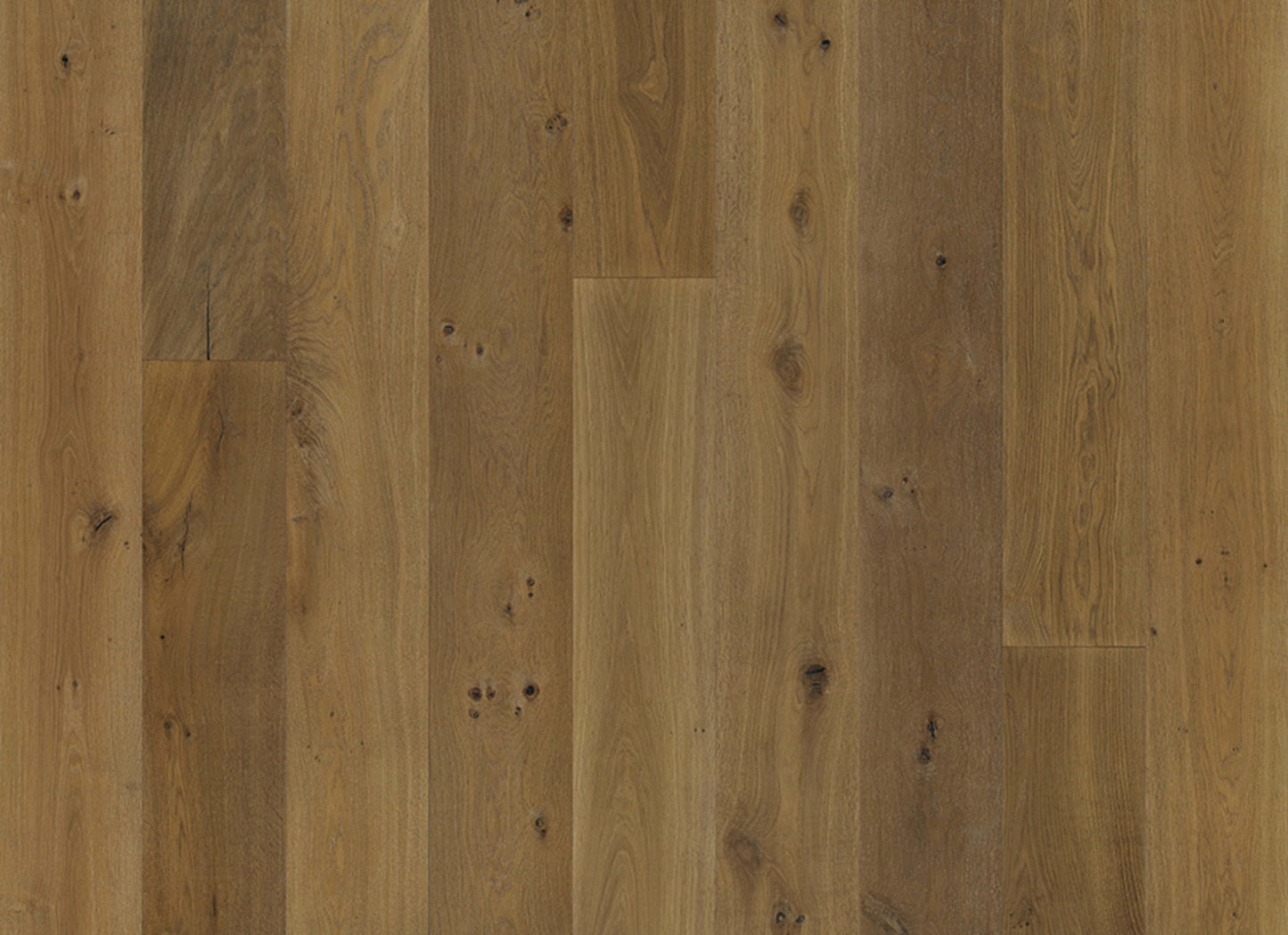 Avenue Collection in Wilshire Oak