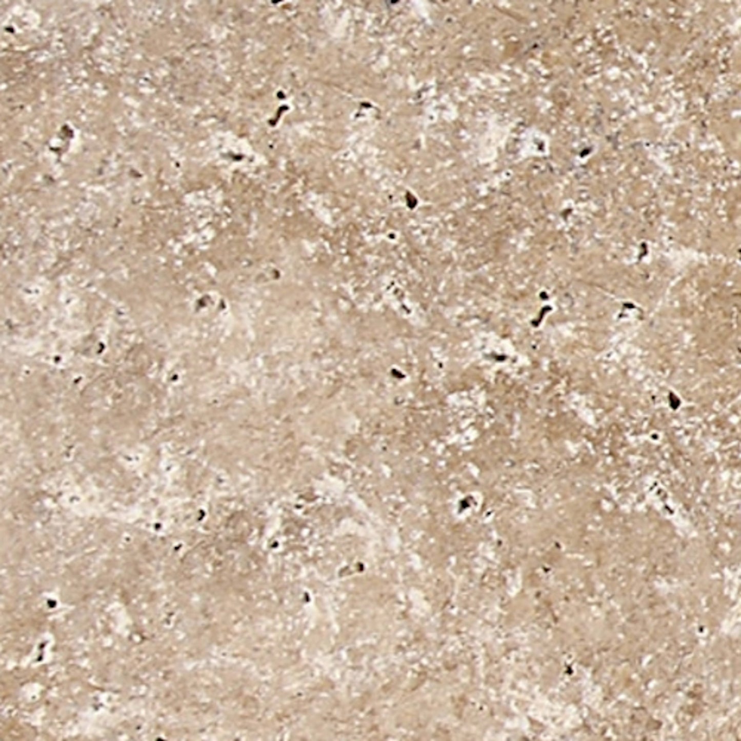 Travertine Collection in Light Noche 3x6 Natural Stone
